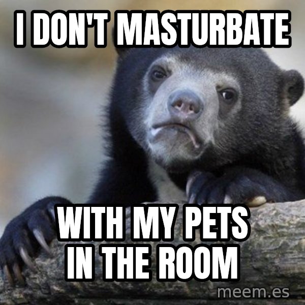 Confession Bear meme: i  don't masturbate / with my pets in the room