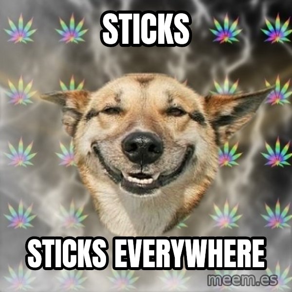 Stoner Dog meme: sticks / sticks everywhere
