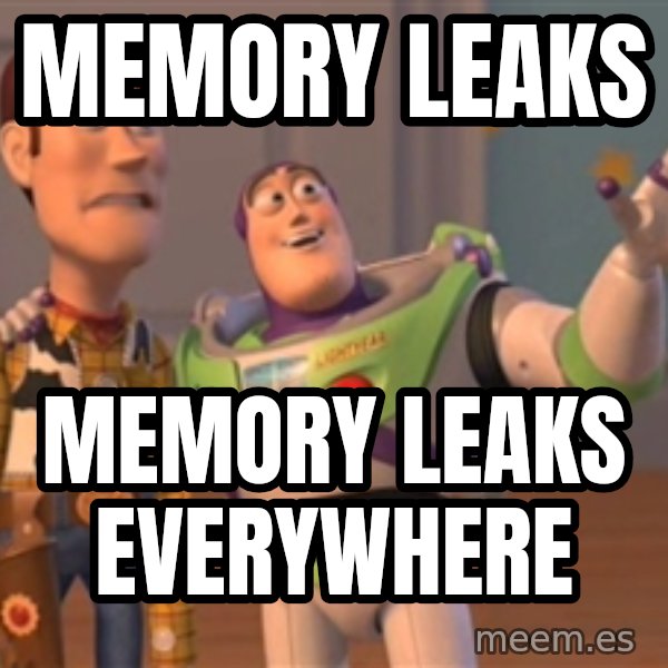 Tseverywhere meme: Memory leaks / memory leaks everywhere
