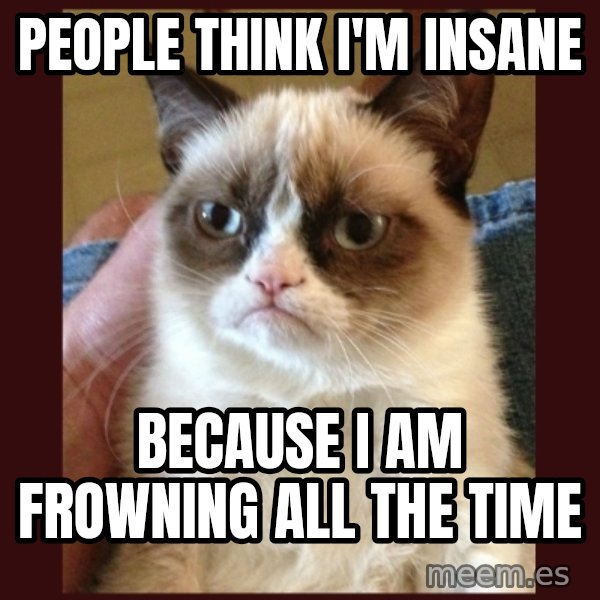 Tard the Grumpy Cat meme: People think I'm insane / Because I am frowning all the time