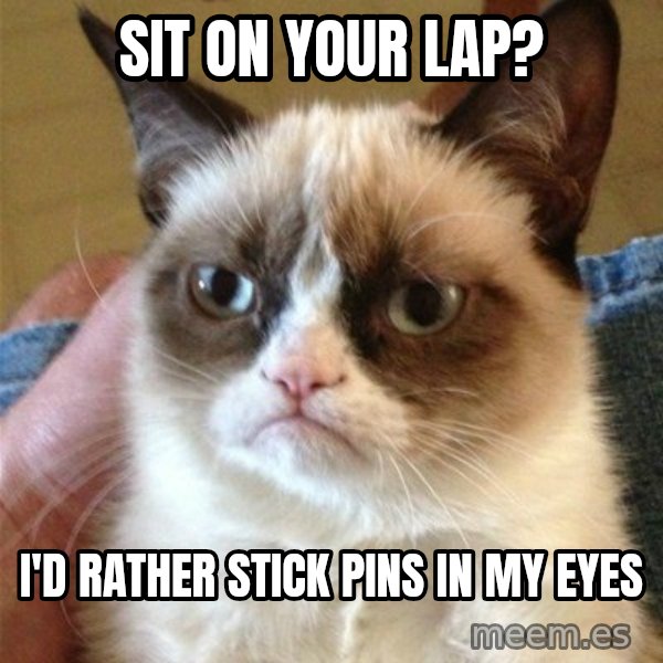 Grumpy Cat  meme: Sit on your lap? / I'd rather stick pins in my eyes
