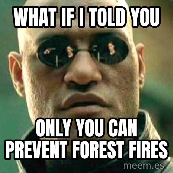 What if I told you / Matrix Morpheus meme: what if i told you / only you can prevent forest fires