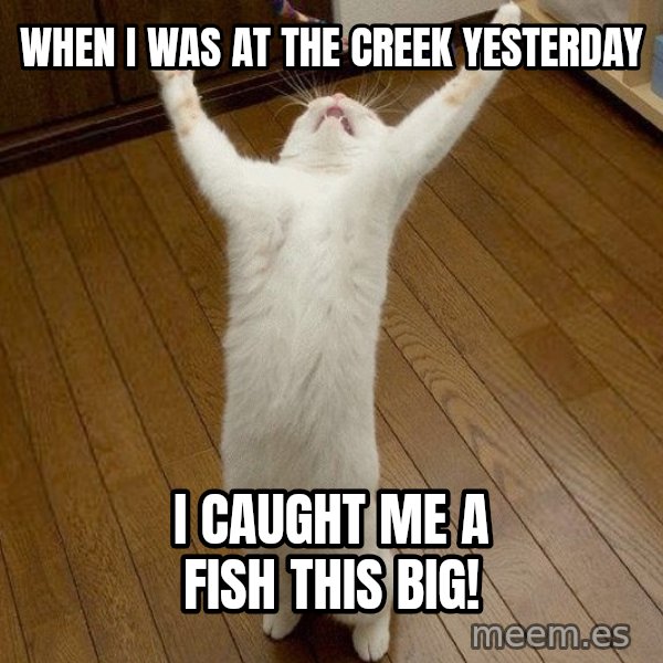 praise the lord cat meme: when i was at the creek yesterday / i caught me a fish this big!