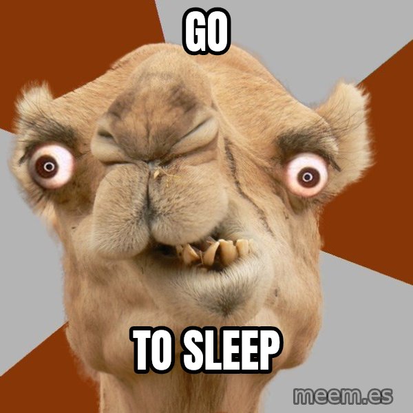 Crazy Camel lol meme: go / to sleep