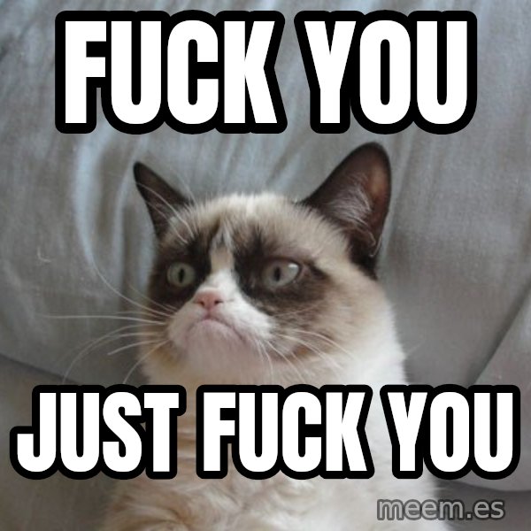 Grumpy cat good meme: FUCK YOU / JUST FUCK YOU