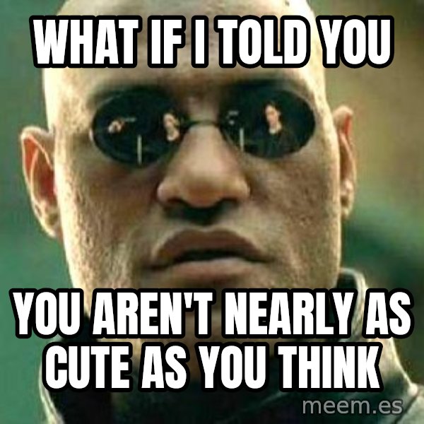 What if I told you / Matrix Morpheus meme: WHAT IF I TOLD YOU / you aren't nearly as cute as you think