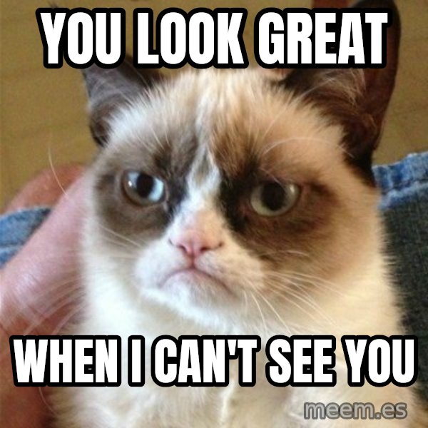 Grumpy Cat  meme: you look great / when i can't see you