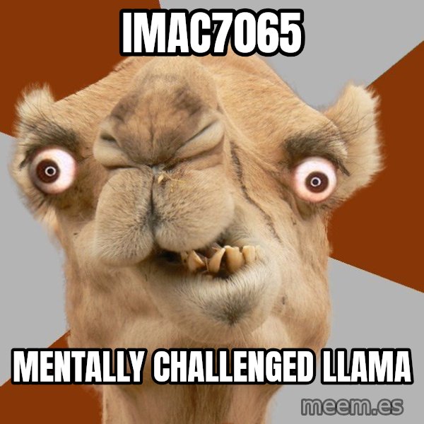 Crazy Camel lol meme: Imac7065 / Mentally Challenged LLama