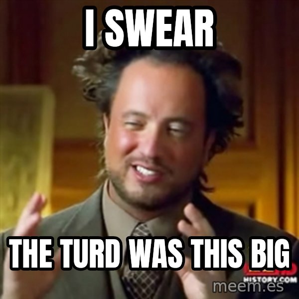 Ancient Aliens meme: i swear / the turd was this big