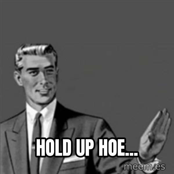 Correction Guy meme: Hold up hoe...