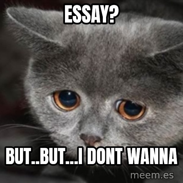Sadcat meme: Essay? / BUT..but...i dont wanna