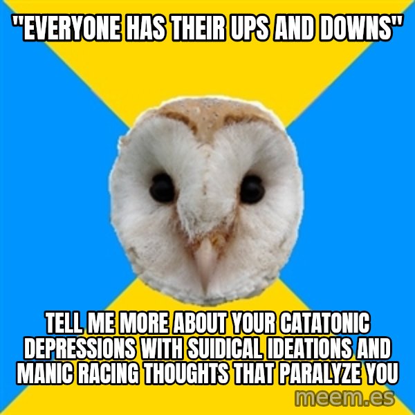 Bipolar Owl meme: "Everyone has their ups and downs" / tell me more about your catatonic depressions with suidical ideations and manic racing thoughts that paralyze you