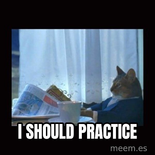 i should buy a boat cat meme: I should practice