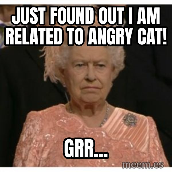 Unimpressed Queen meme: Just found out i am related to angry cat! / grr...