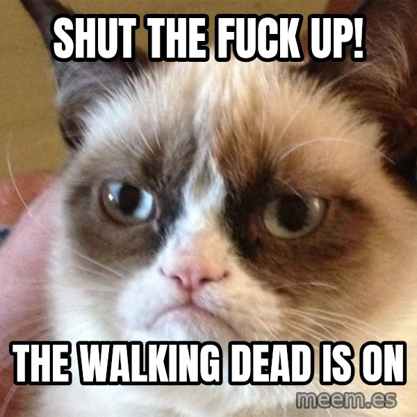 Angry Cat Meme meme: Shut the fuck up! / The walking dead is on