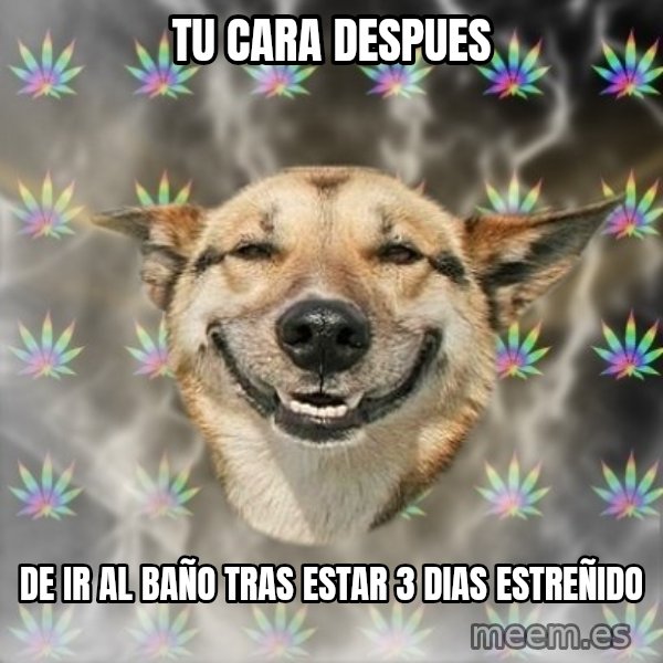 Stoner Dog meme: TU CARA DESPUES / DE IR AL BAÑO TRAS ESTAR 3 DIAS ESTREÑIDO