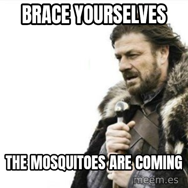 Prepare yourself meme: Brace yourselves / the mosquitoes are coming