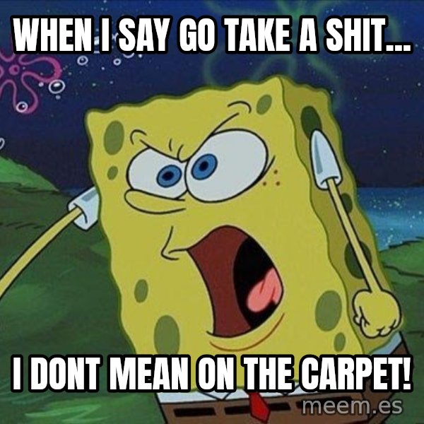 Spongebob Rage meme: when i say go take a shit... / i dont mean on the carpet!