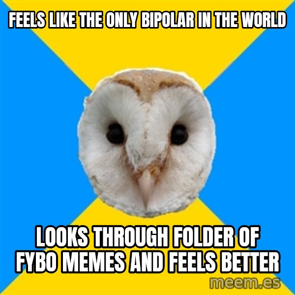Bipolar Owl meme: Feels like the only bipolar in the world / Looks through folder of FYBO memes and feels better