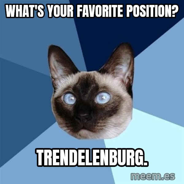 Chronic Illness Cat meme: what's your favorite position? / trendelenburg.
