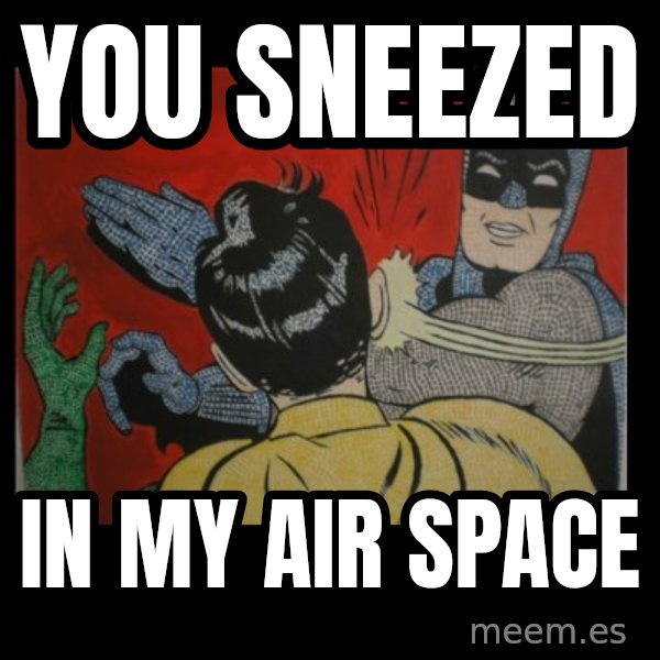 batman slap robin meme: you SNEEZED / in my air space