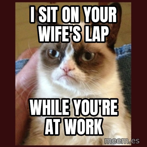 Tard the Grumpy Cat meme: i sit on your wife's lap / while you're at work