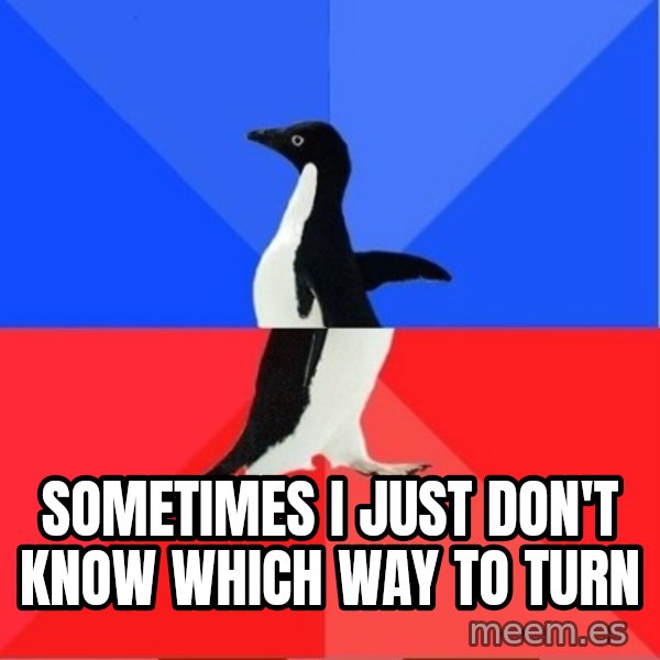 Socially Awesome Awkward Penguin meme: sometimes i just don't know which way to turn