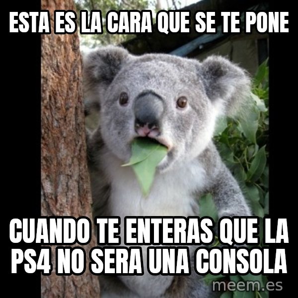 Koala can't believe it meme: esta es la cara que se te pone / cuando te enteras que la ps4 no sera una consola
