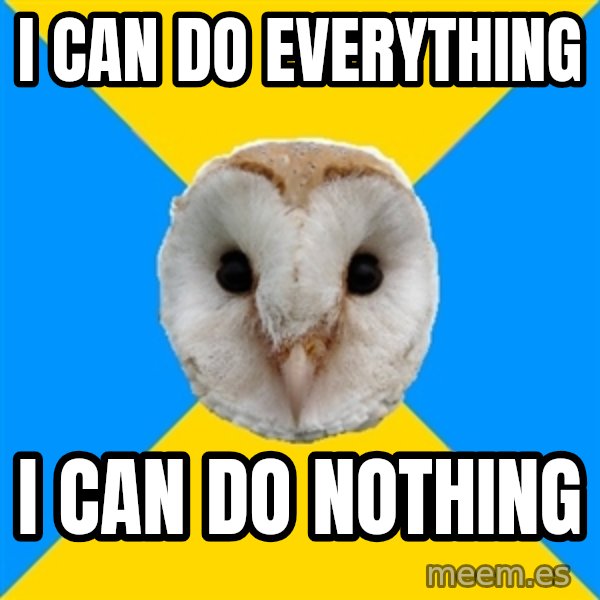 Bipolar Owl meme: I can do everything / I can do nothing
