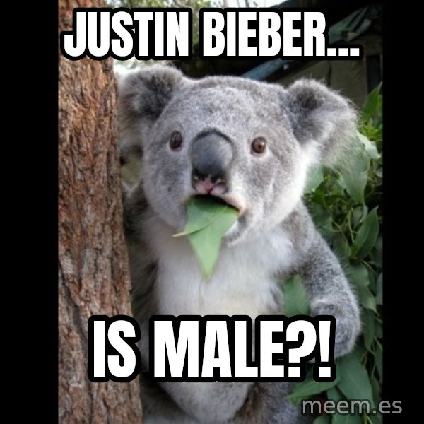 Koala can't believe it meme: JUSTIN BIEBER... / IS MALE?!