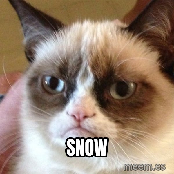 Angry Cat Meme meme: snow