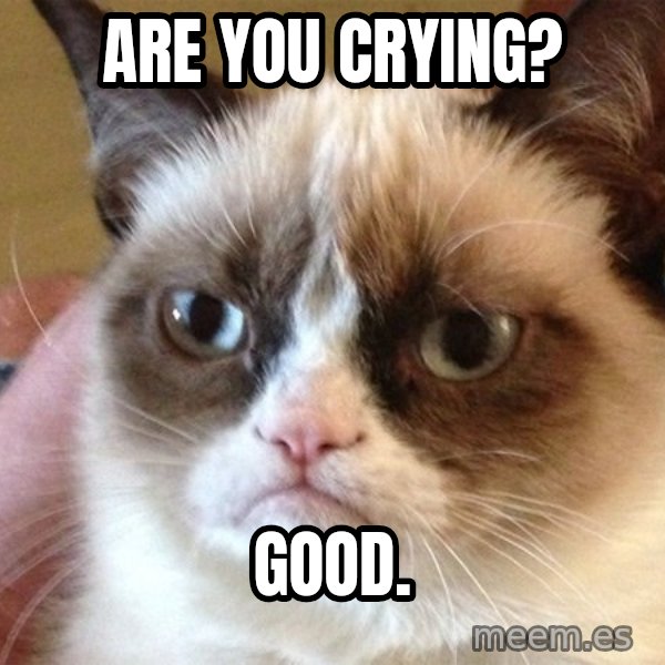 Angry Cat Meme meme: Are you Crying? / Good.