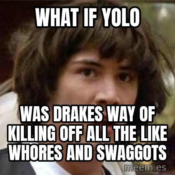 what if meme meme: What if yolo / was drakes way of killing off all the like whores and swaggots