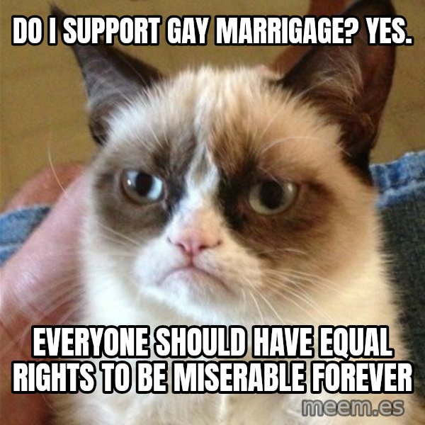 Grumpy Cat  meme: Do i support gay marrigage? YEs. / Everyone should have equal rights to be miserable forever