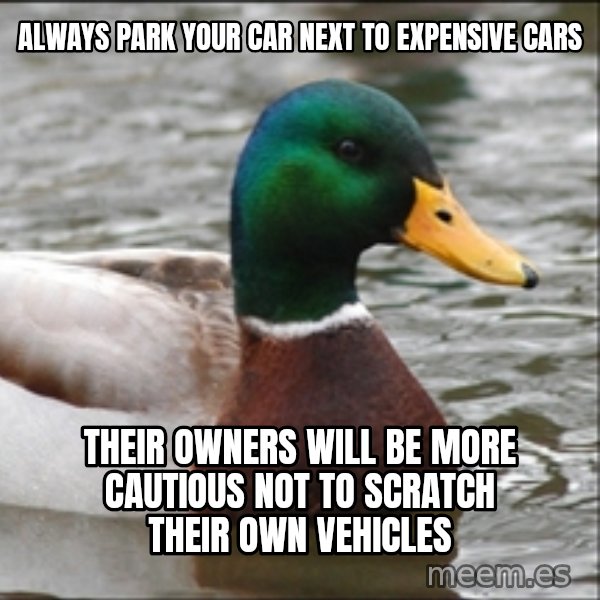 Actual Advice Mallard 1 meme: ALWAYS PARK YOUR CAR NEXT TO EXPENSIVE CARS / THEIR OWNERS WILL BE MORE CAUTIOUS NOT TO SCRATCH THEIR OWN VEHICLES