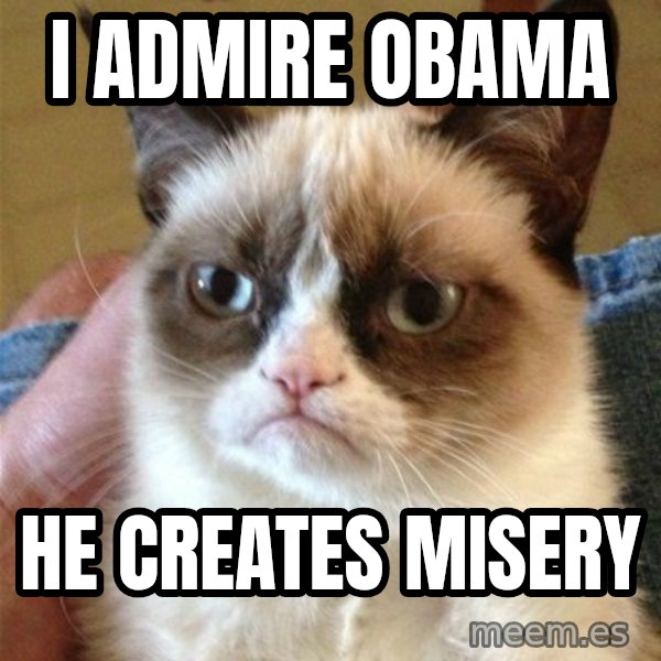Grumpy Cat  meme: i admire obama / he creates misery