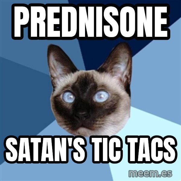 Chronic Illness Cat meme: Prednisone / Satan's Tic Tacs