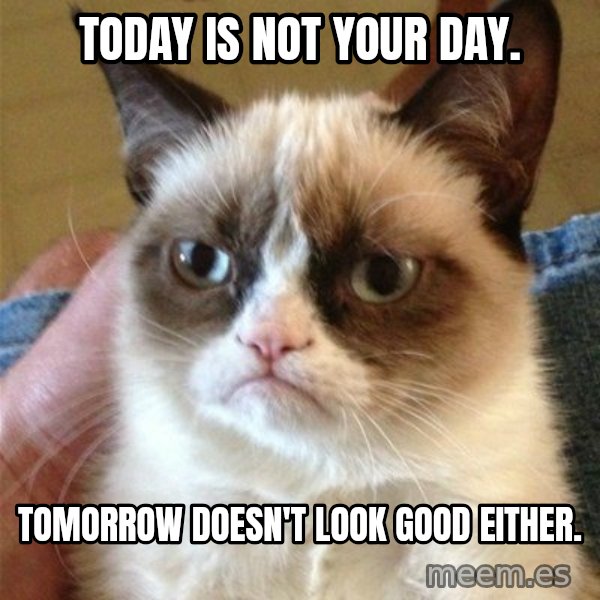 Grumpy Cat  meme: Today is not your day. / Tomorrow doesn't look good either.