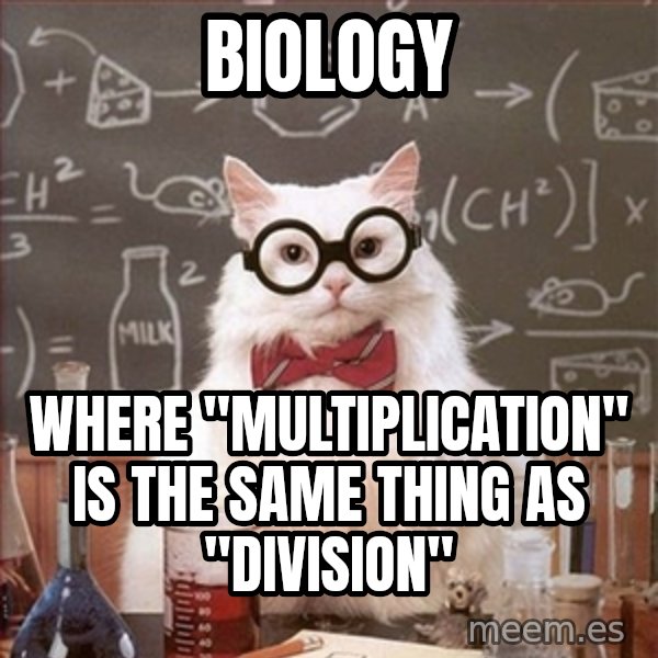 Science Cat meme: biology / where "multiplication" is the same thing as "division"