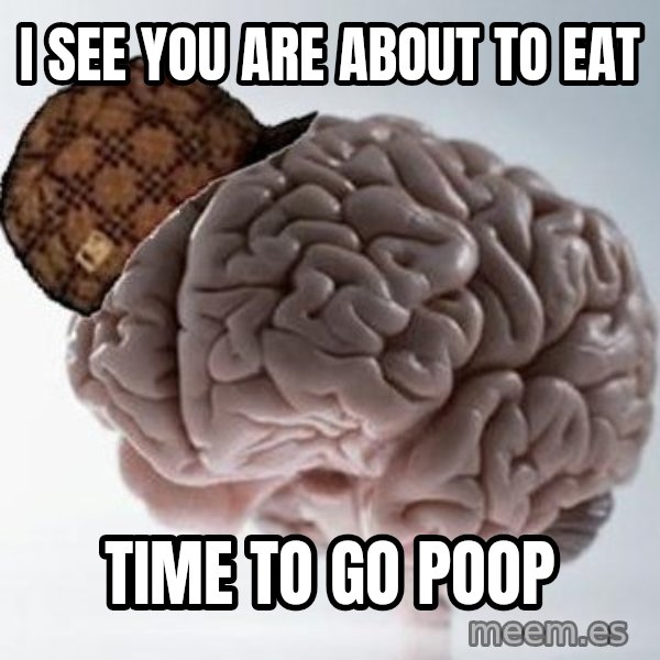 Scumbag Brain meme: I see you are about to eat / Time to go poop