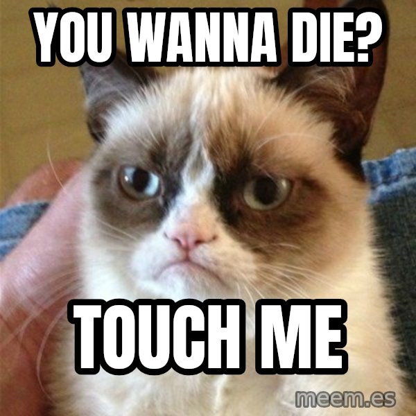 Grumpy Cat  meme: you wanna die? / Touch me