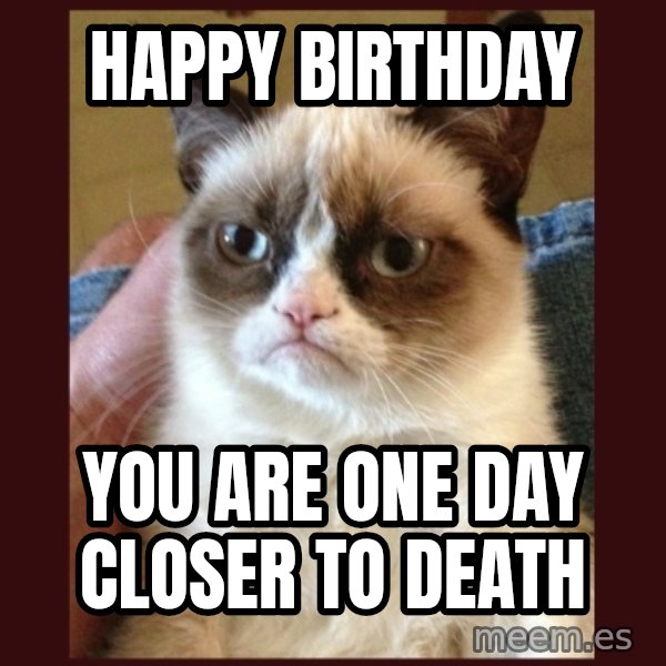 Tard the Grumpy Cat meme: happy  birthday / you are one day closer to death