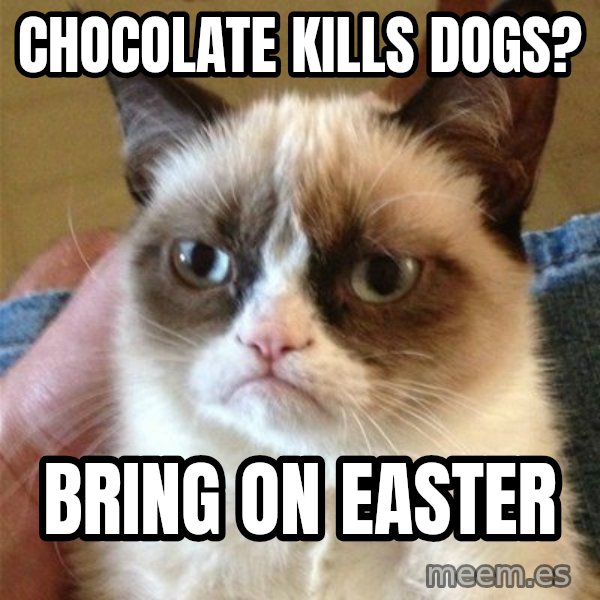 Grumpy Cat  meme: chocolate kills dogs? / Bring on easter