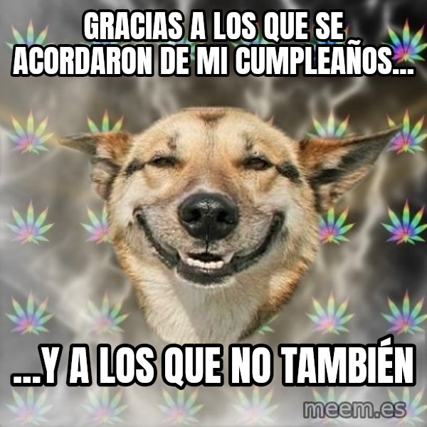 Stoner Dog meme: gracias a los que se acordaron de mi cumpleaños... / ...y a los que no también