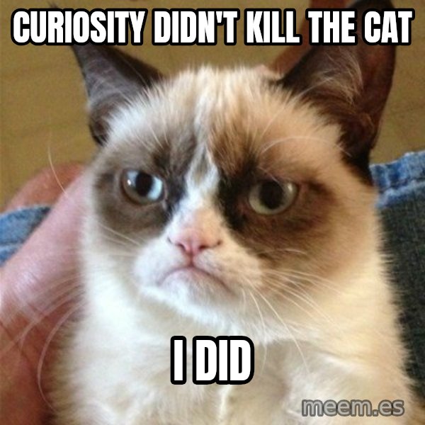 Grumpy Cat  meme: Curiosity didn't kill     the cat / i did