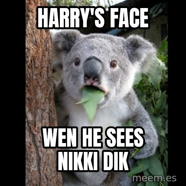 Koala can't believe it meme: HARRY'S FACE / WEN HE SEES NIKKI DIK