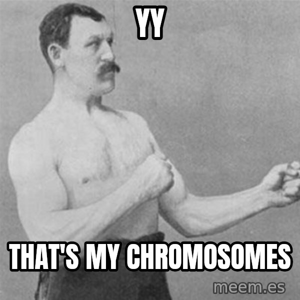 overly manlyman meme: YY / That's my       chromosomes