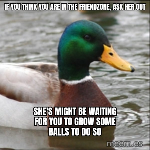 Actual Advice Mallard 1 meme: If you think you are in the friendzone, ask her out / she's might be waiting for you to grow some balls to do so