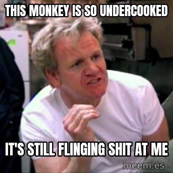 Gordon Ramsay meme: This monkey is so undercooked / It's still flinging shit at me