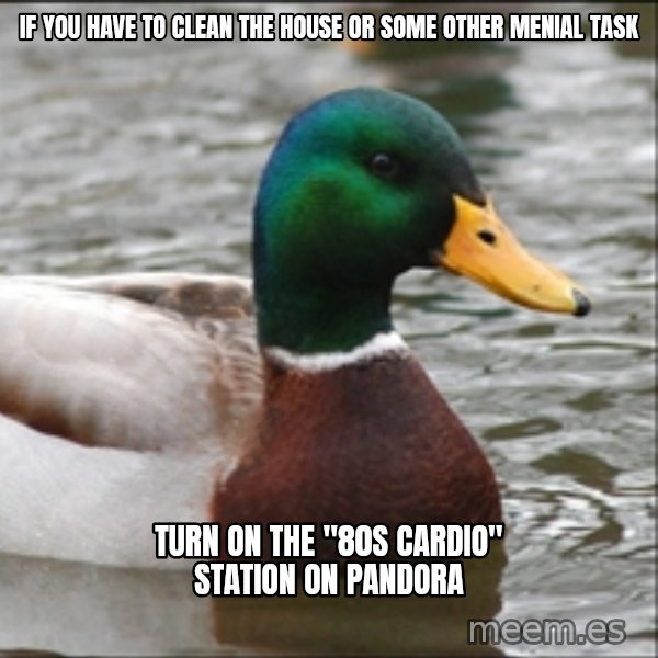Actual Advice Mallard 1 meme: If you have to clean the house or some other menial task / turn on the "80s cardio" station on Pandora